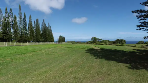 3693 Kuula Pl #49, Kilauea, HI 96754