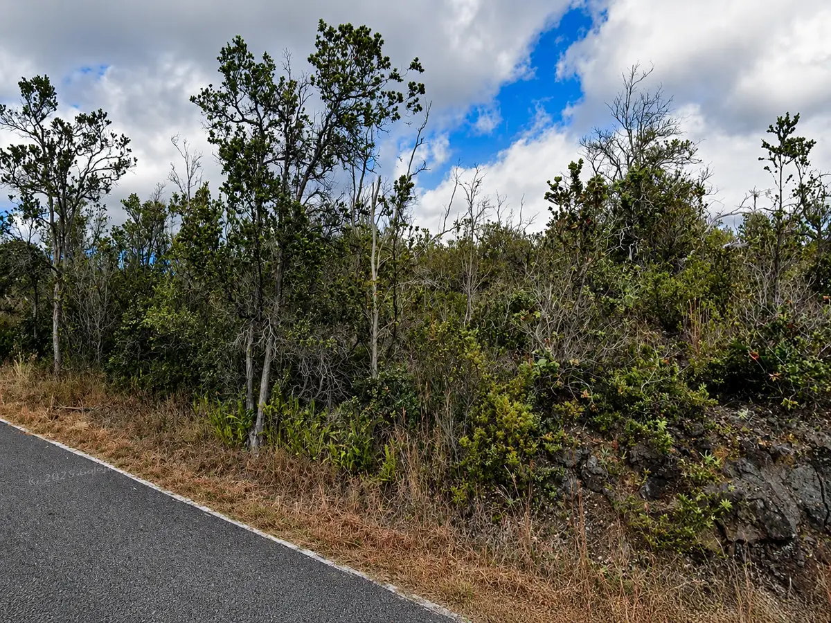 Koa Ln, Ocean View, HI 96737 - #1