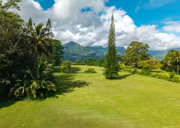 Hanalei Plantation Rd, Princeville, HI 96722