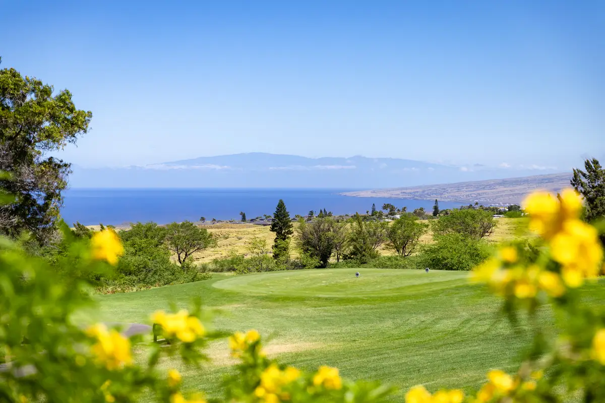 68-1767 Melia St #D106DL2, Waikoloa, HI 96738 - #1
