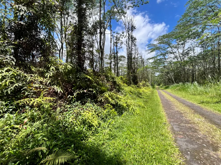 Pikake Rd, Pahoa, HI 96778 - #3