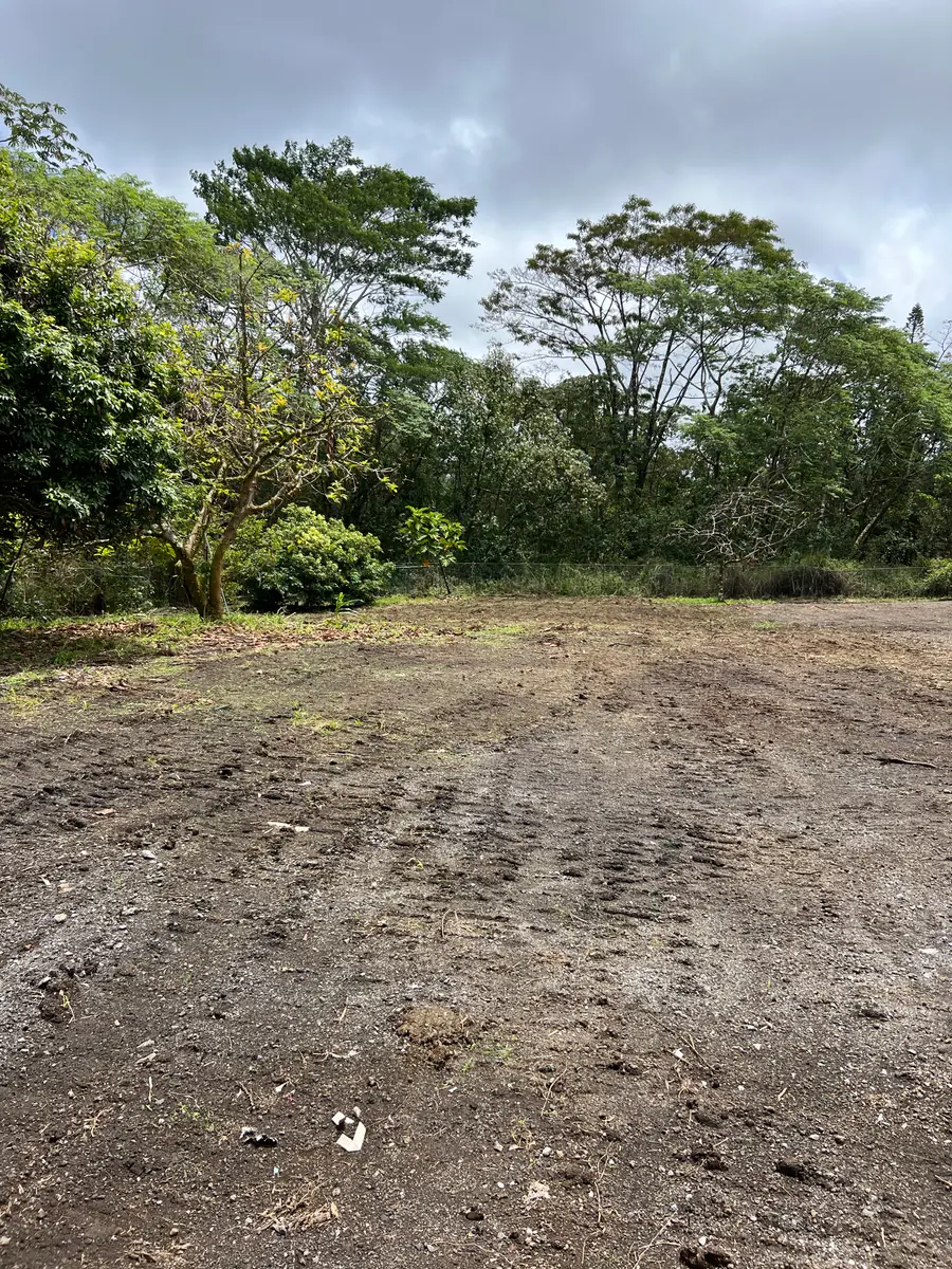 17-4433 Huina Rd, Kurtistown, HI 96771 - #2
