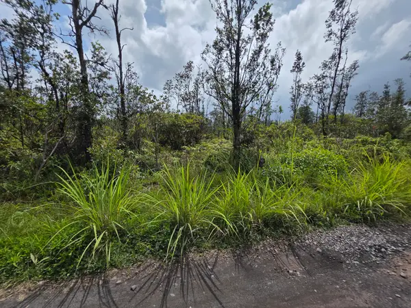 37th Ave, Kurtistown, HI 96760