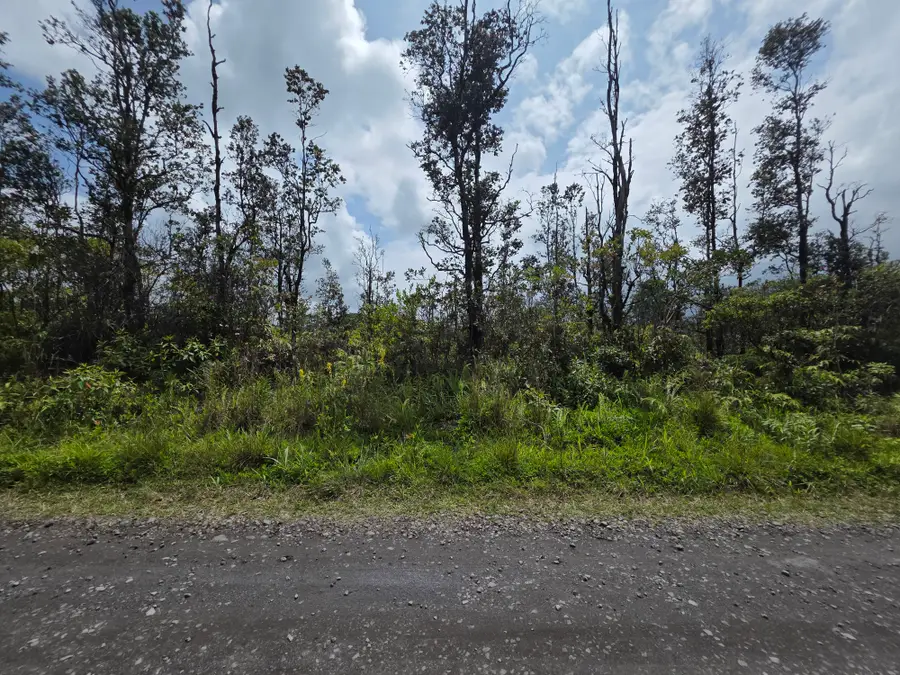 37th Ave, Kurtistown, HI 96760 - #3