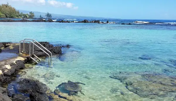 1875 Kalanianaole Ave #209, Hilo, HI 96720