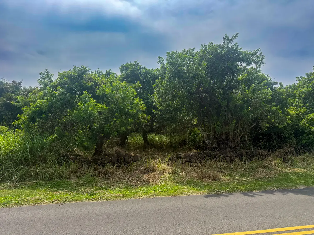Kaalualu Rd, Naalehu, HI 96772 - #1