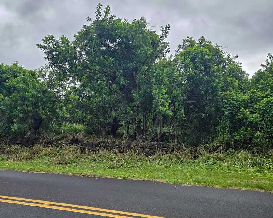 Kaalualu Rd, Naalehu, HI 96772 - #3