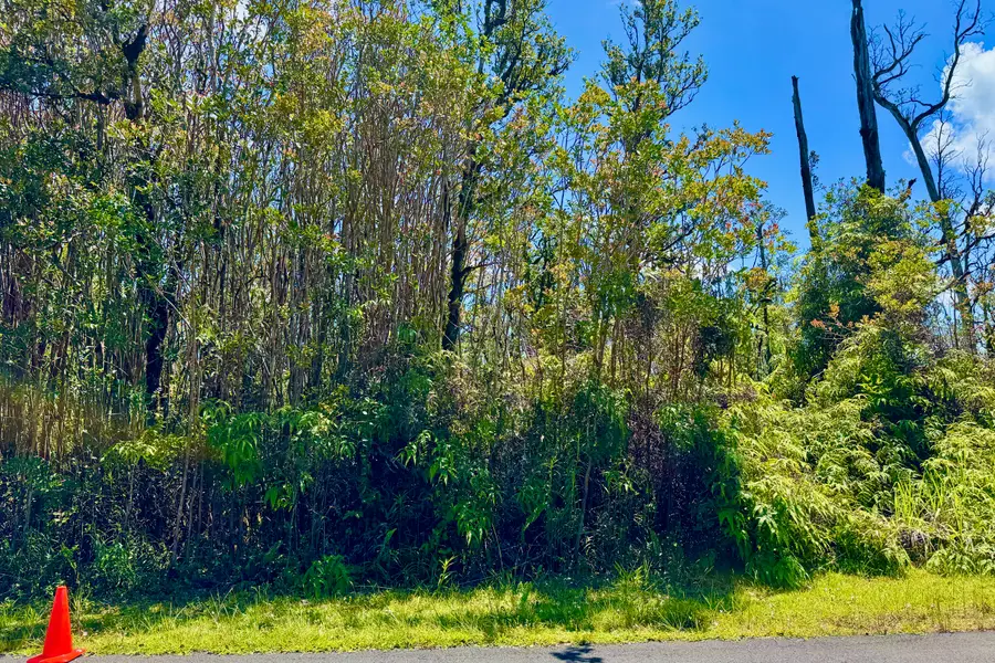 Hibiscus St, Mountain View, HI 96771 - #3
