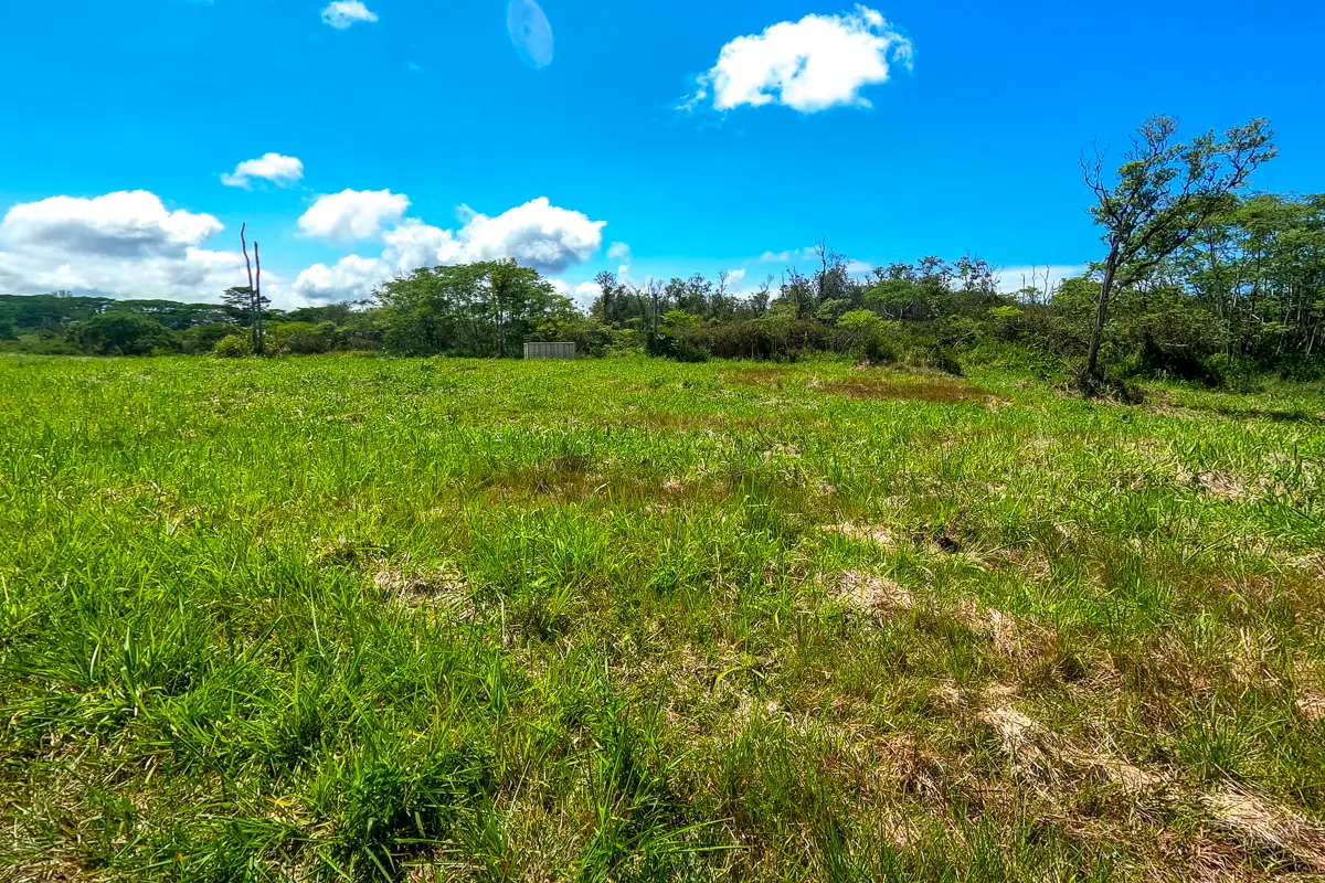 17-820 Manaolana Road, Kurtistown, HI 96760 - #1