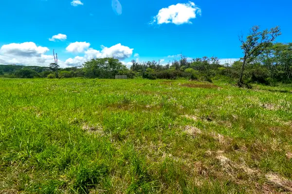 17-820 Manaolana Road, Kurtistown, HI 96760
