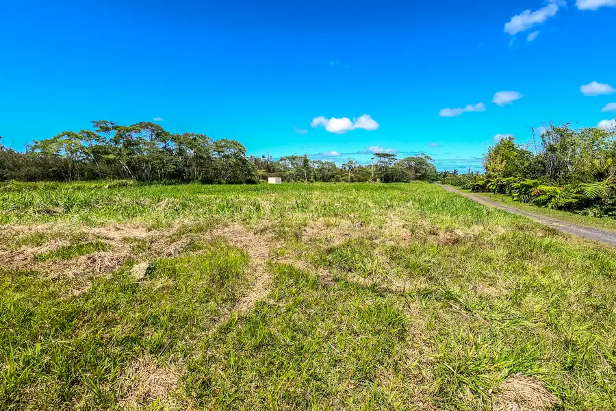 17-820 Manaolana Road, Kurtistown, HI 96760 - #2
