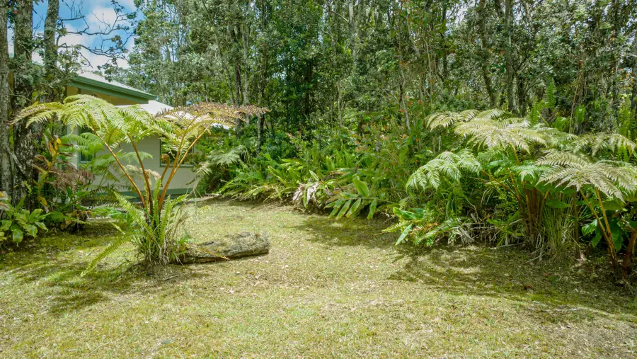 19-3150 Mamaki Ln, Volcano, HI 96785 - #2