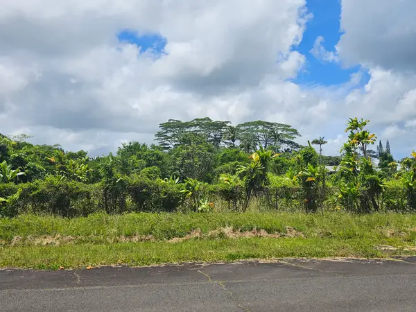 Meaulu St, Keaau, HI 96749