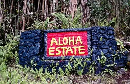 Road 4, Mountain View, HI 96771 - #2