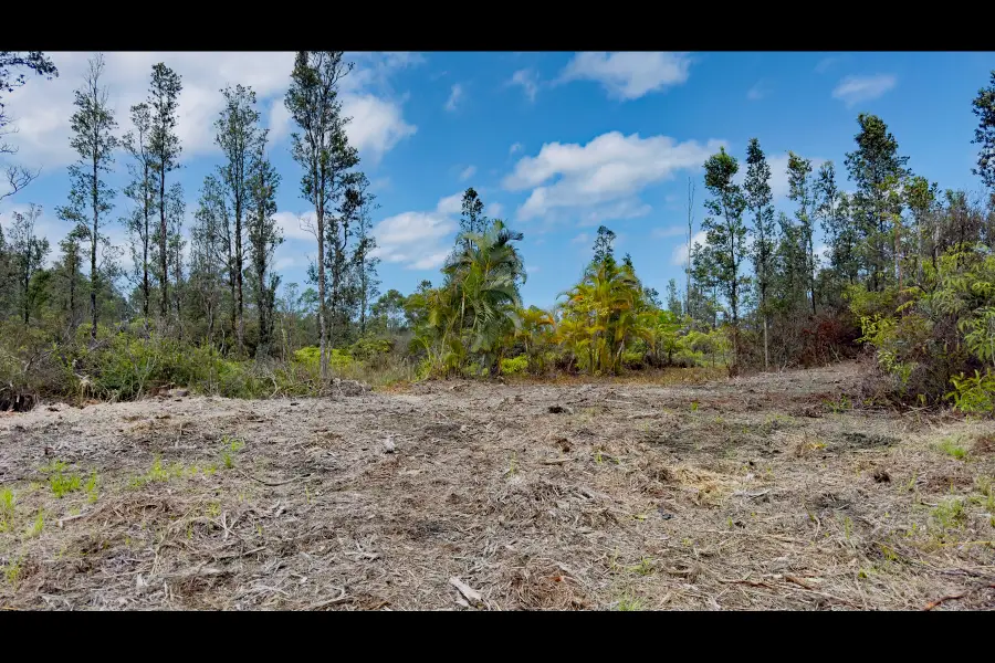 Uhini Ana Rd, Kurtistown, HI 96760 - #2