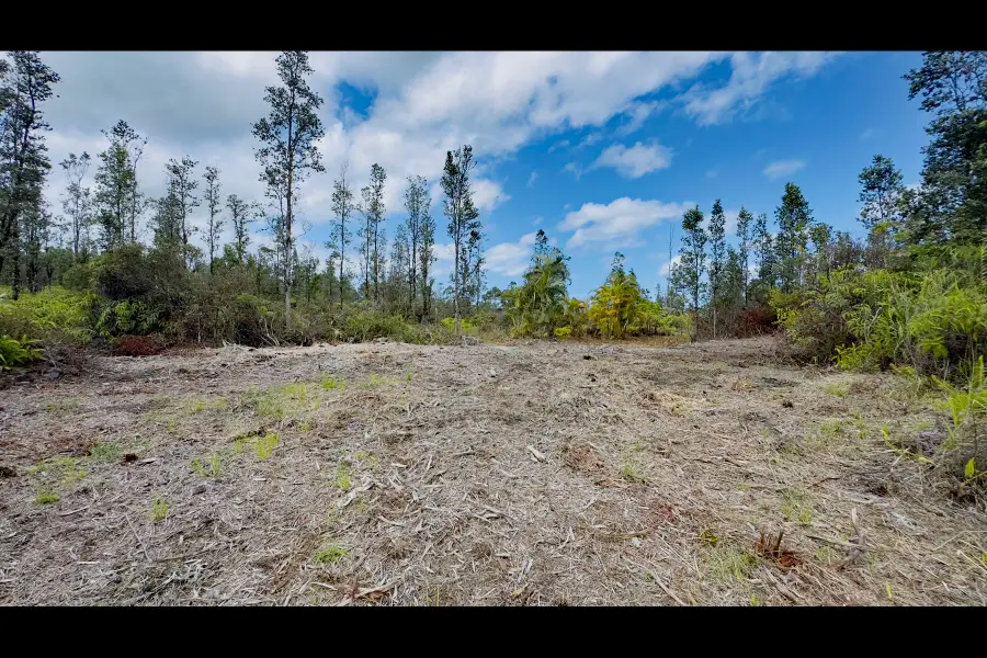 Uhini Ana Rd, Kurtistown, HI 96760 - #3