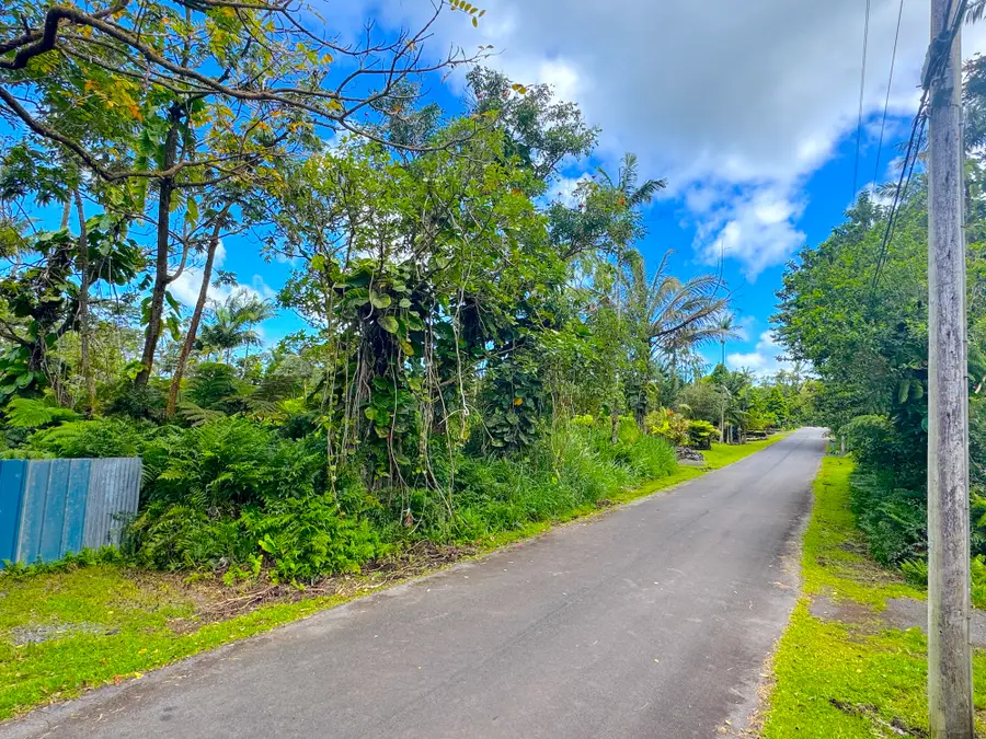 13-3581 Oneloa St, Pahoa, HI 96778 - #2