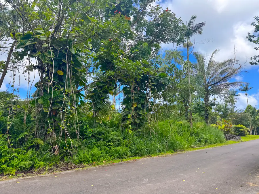13-3581 Oneloa St, Pahoa, HI 96778 - #3