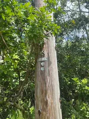 Wehelauniu St, Pahoa, HI 96778 - #2