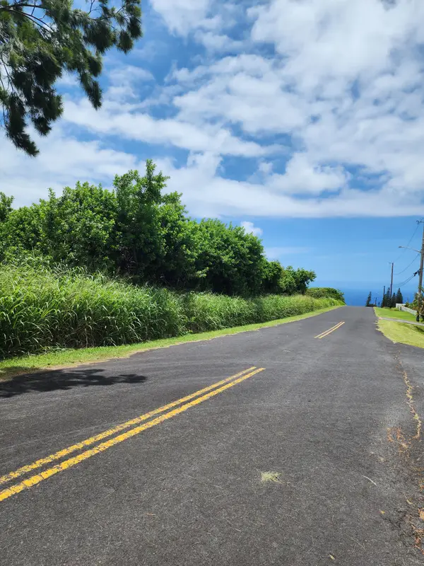 94-1674 Lewa Lani St, Naalehu, HI 96772