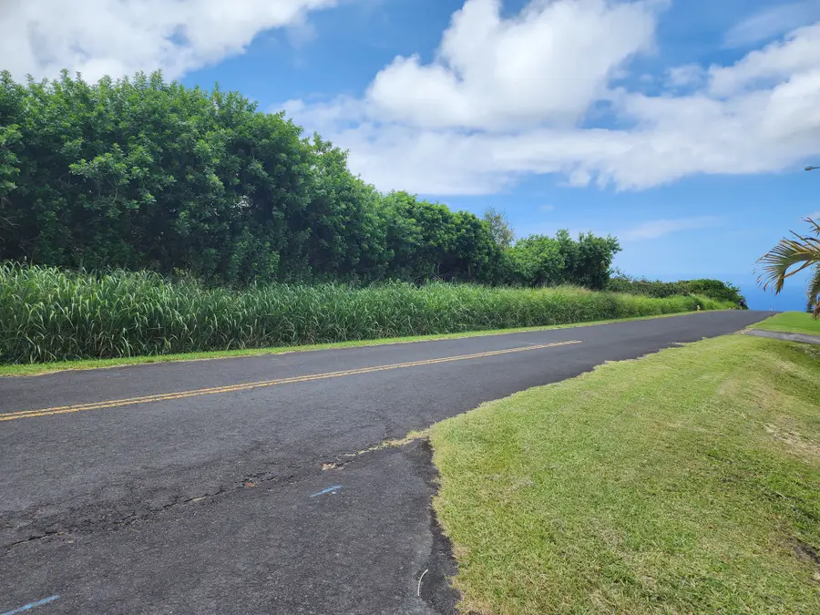 94-1674 Lewa Lani St, Naalehu, HI 96772 - #2