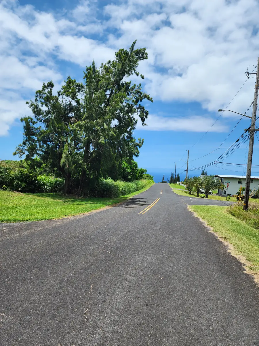 94-1674 Lewa Lani St, Naalehu, HI 96772 - #3