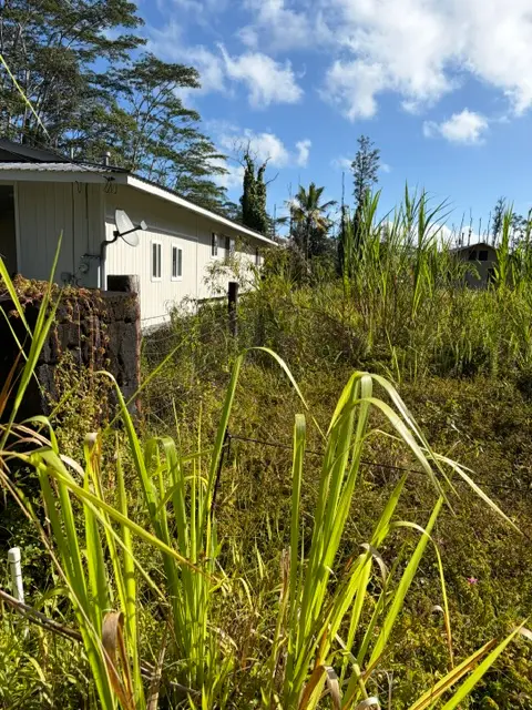 Church Rd, Pahoa, HI 96778 - #3