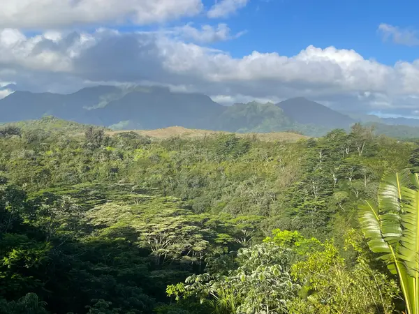 5250-D Kahiliholo Rd, Kilauea, HI 96754