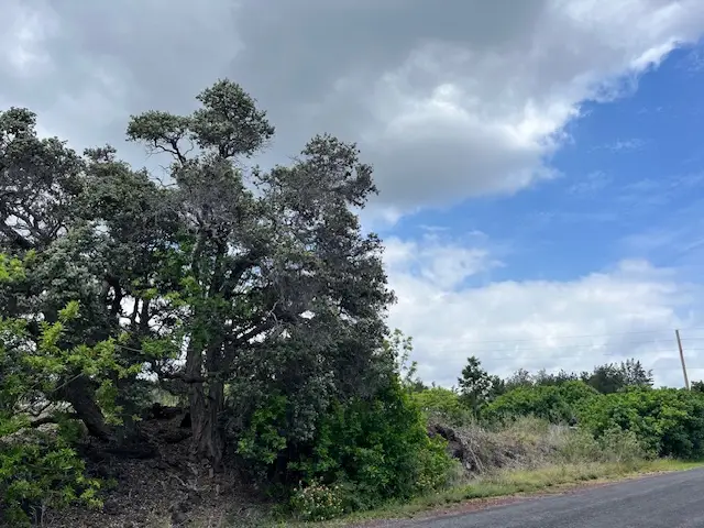 Macadamia Dr, Ocean View, HI 96737 - #2