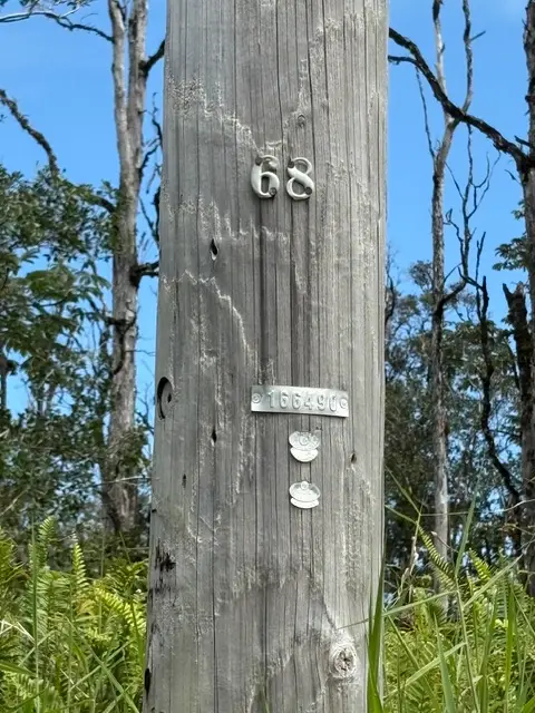 Road 9 (koloa Maoli), Kurtistown, HI 96760