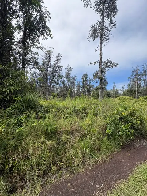 Road 9 (koloa Maoli), Kurtistown, HI 96760 - #2