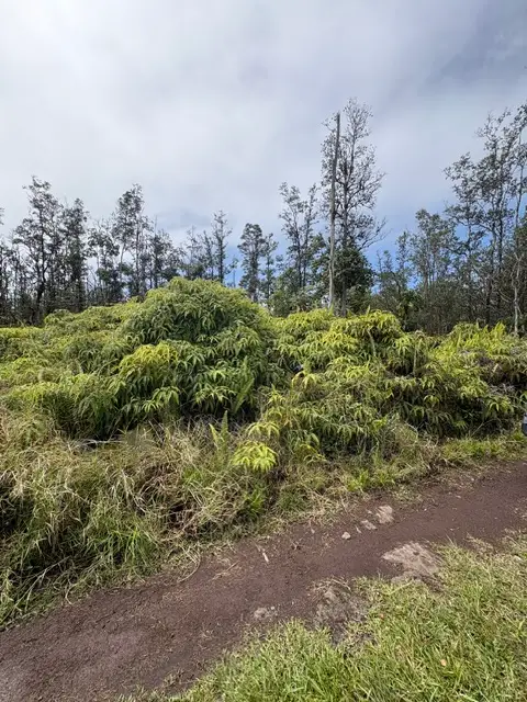 Road 9 (koloa Maoli), Kurtistown, HI 96760 - #3