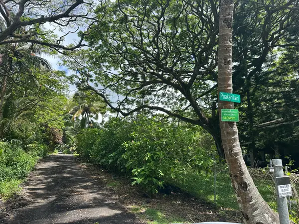 Puakenikeni Rd, Pahoa, HI 96778