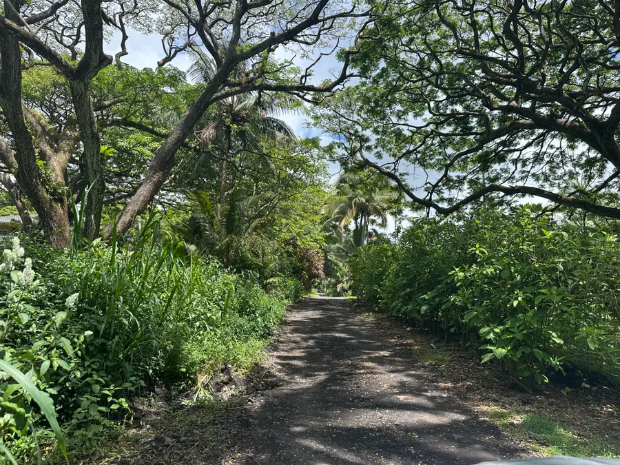 Puakenikeni Rd, Pahoa, HI 96778 - #2