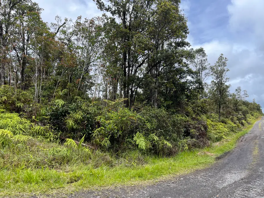 Ala Naulani Rd, Volcano, HI 96785 - #2