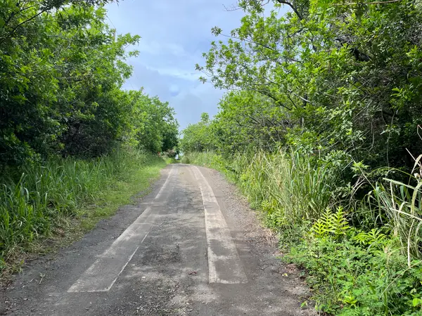 Kekuhaupio Rd, Naalehu, HI 96772