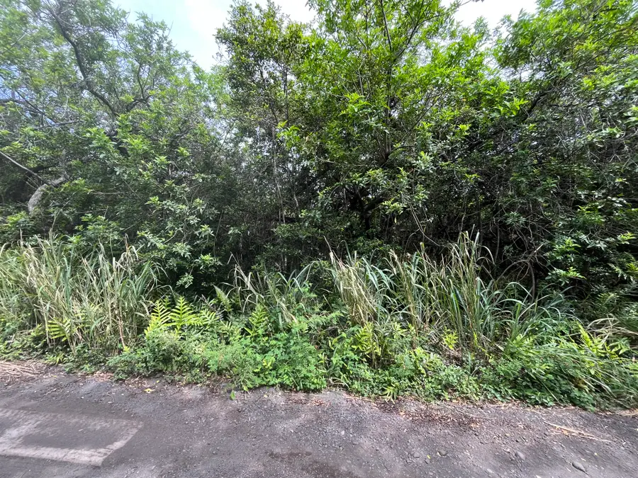 Kekuhaupio Rd, Naalehu, HI 96772 - #2