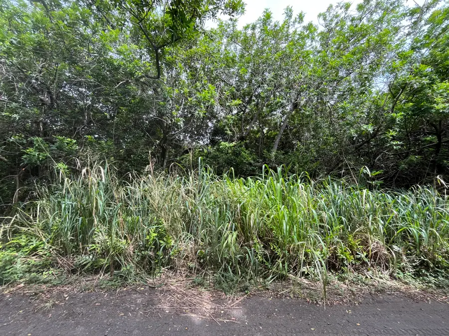 Kekuhaupio Rd, Naalehu, HI 96772 - #3
