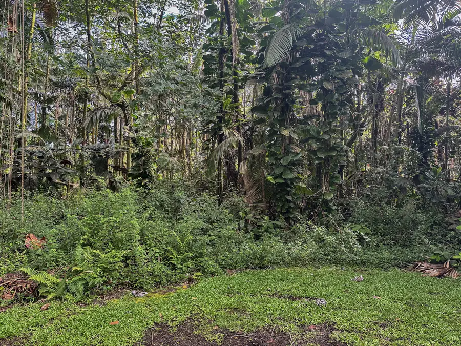 14-3550 Church Circle, Pahoa, HI 96778 - #2
