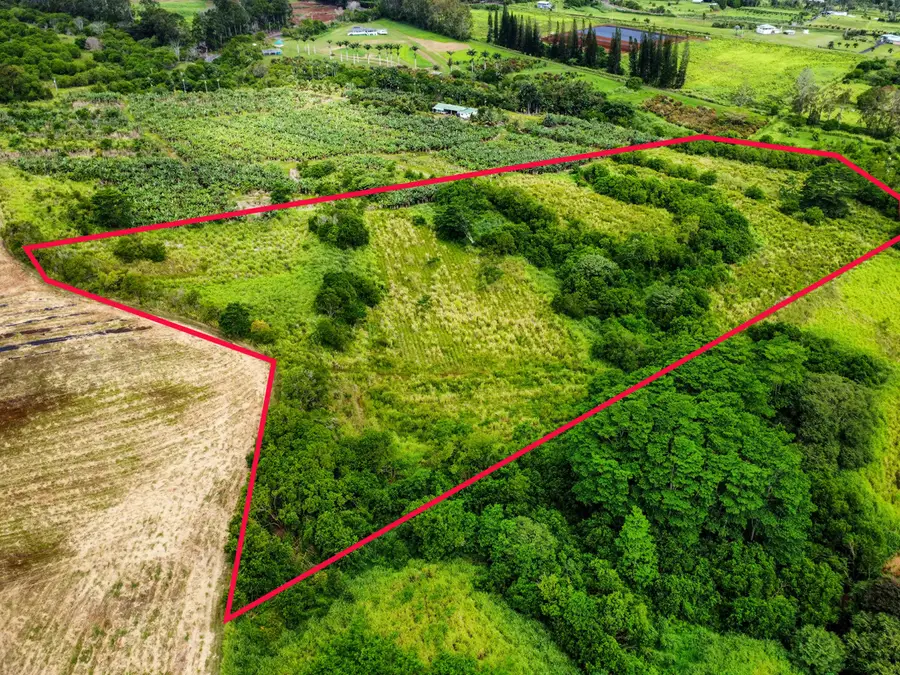Paikio Rd, Pepeekeo, HI 96783 - #2