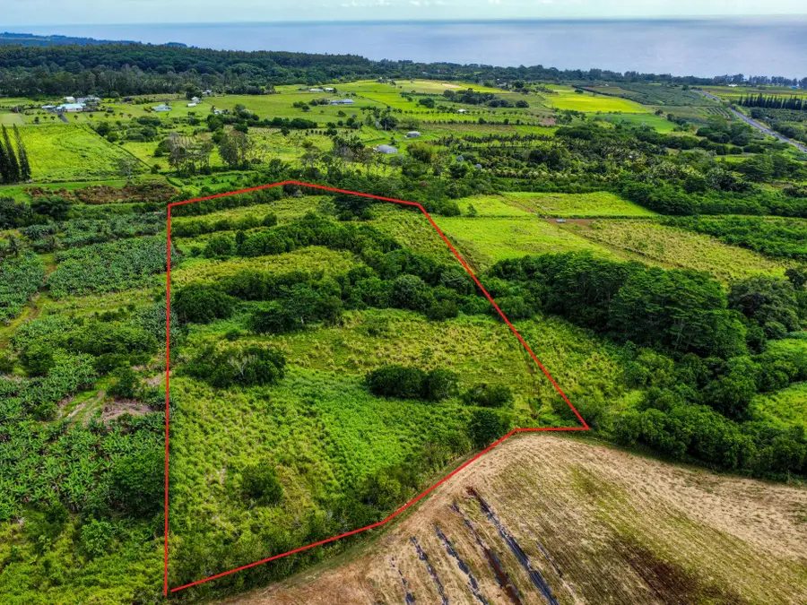 Paikio Rd, Pepeekeo, HI 96783 - #3
