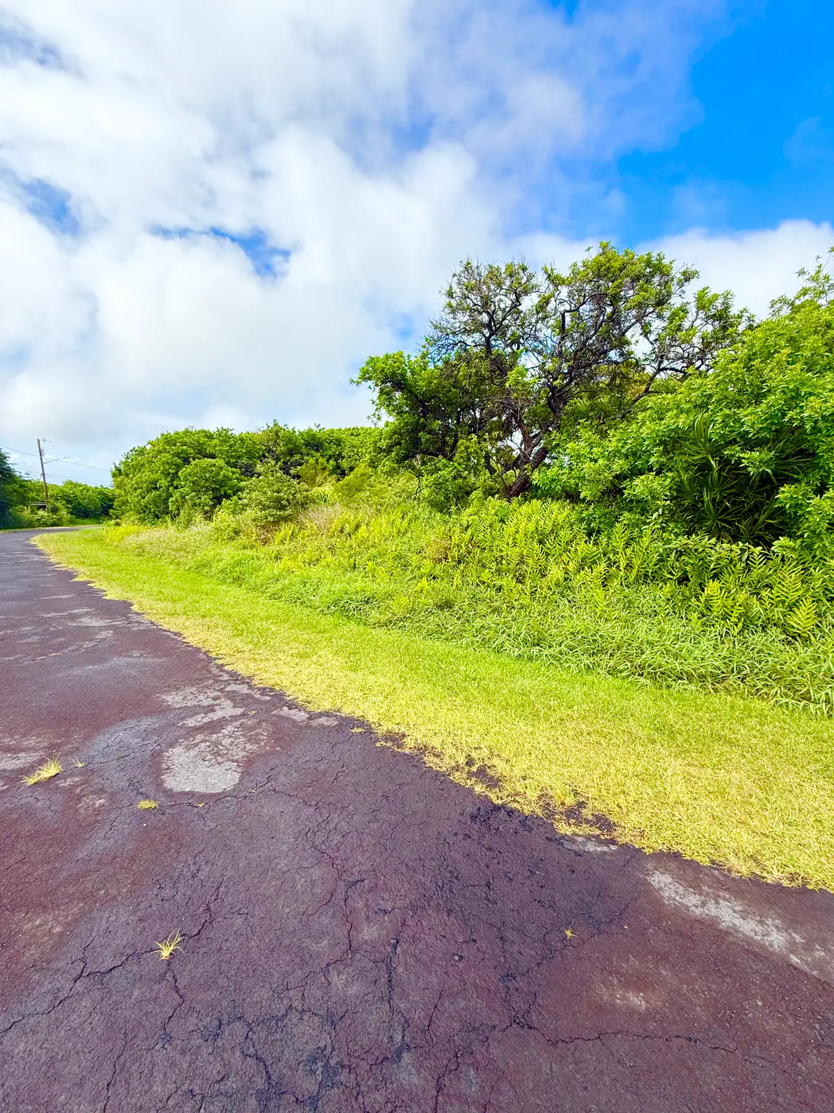Kanaloa Pl, Naalehu, HI 96772 - #1