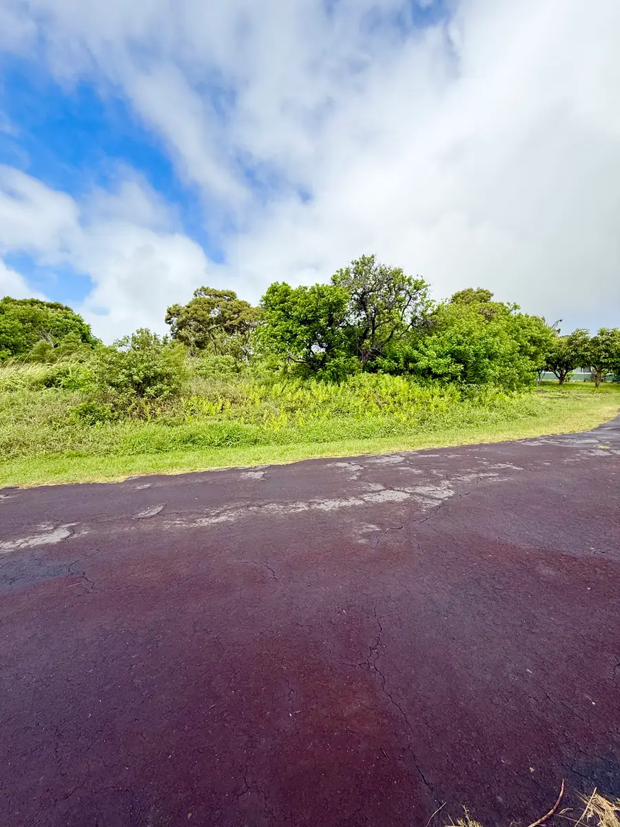 Kanaloa Pl, Naalehu, HI 96772 - #3