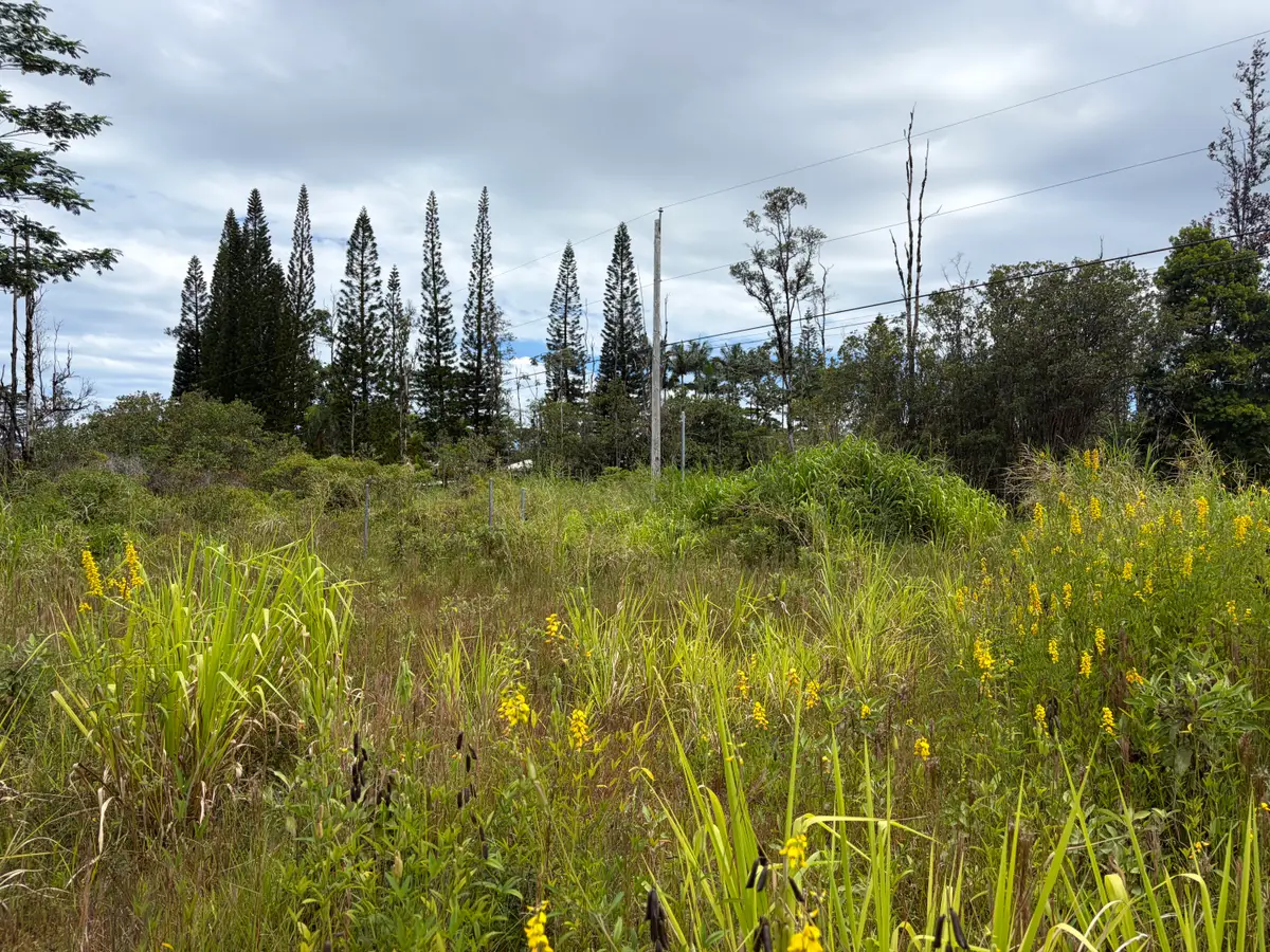 16-1889 36th Ave, Kurtistown, HI 96760 - #1