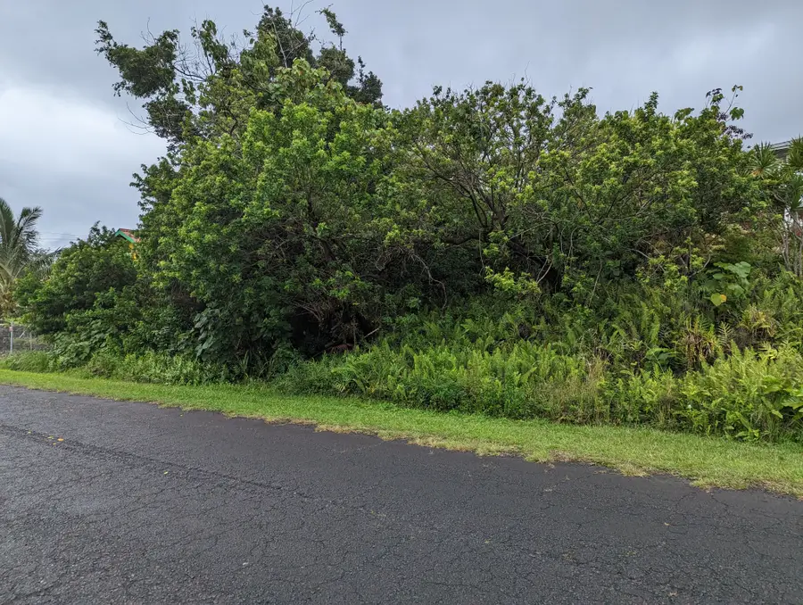 E Moanauli Lp, Pahoa, HI 96778 - #2