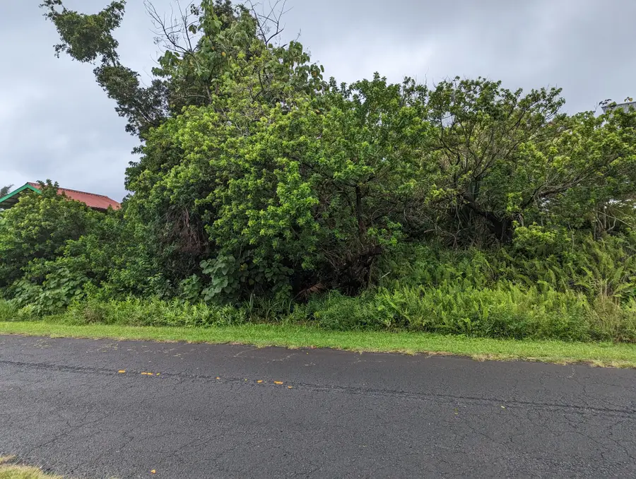 E Moanauli Lp, Pahoa, HI 96778 - #3
