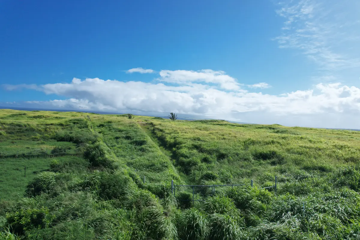 Kamaoa Homestead #Lot 63, Naalehu, HI 96772 - #1