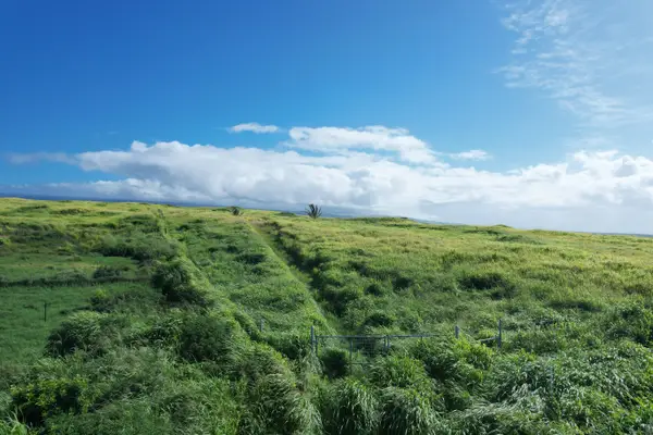 Kamaoa Homestead #Lot 63, Naalehu, HI 96772