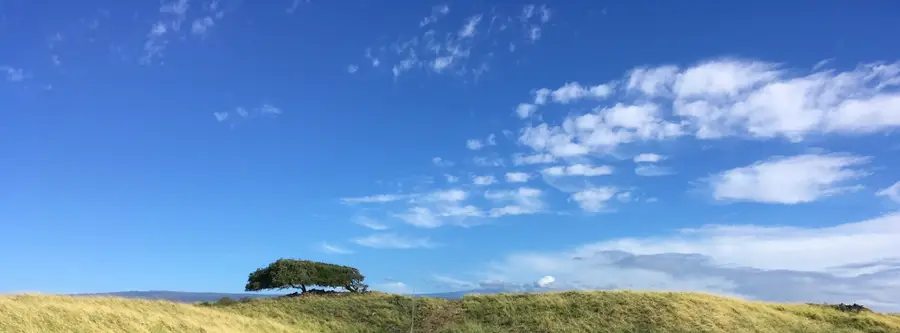 Kamaoa Homestead #Lot 63, Naalehu, HI 96772 - #3