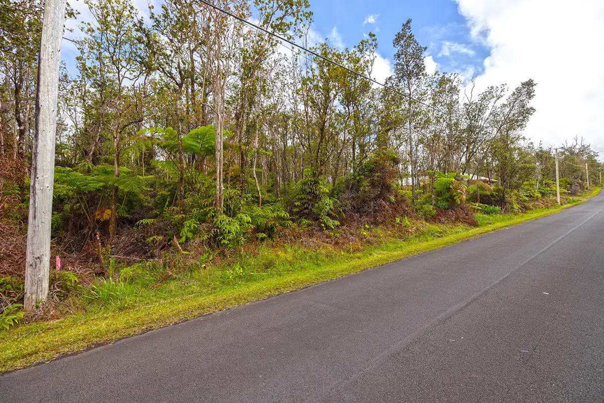 11-3143 Alaula St, Volcano, HI 96785 - #1
